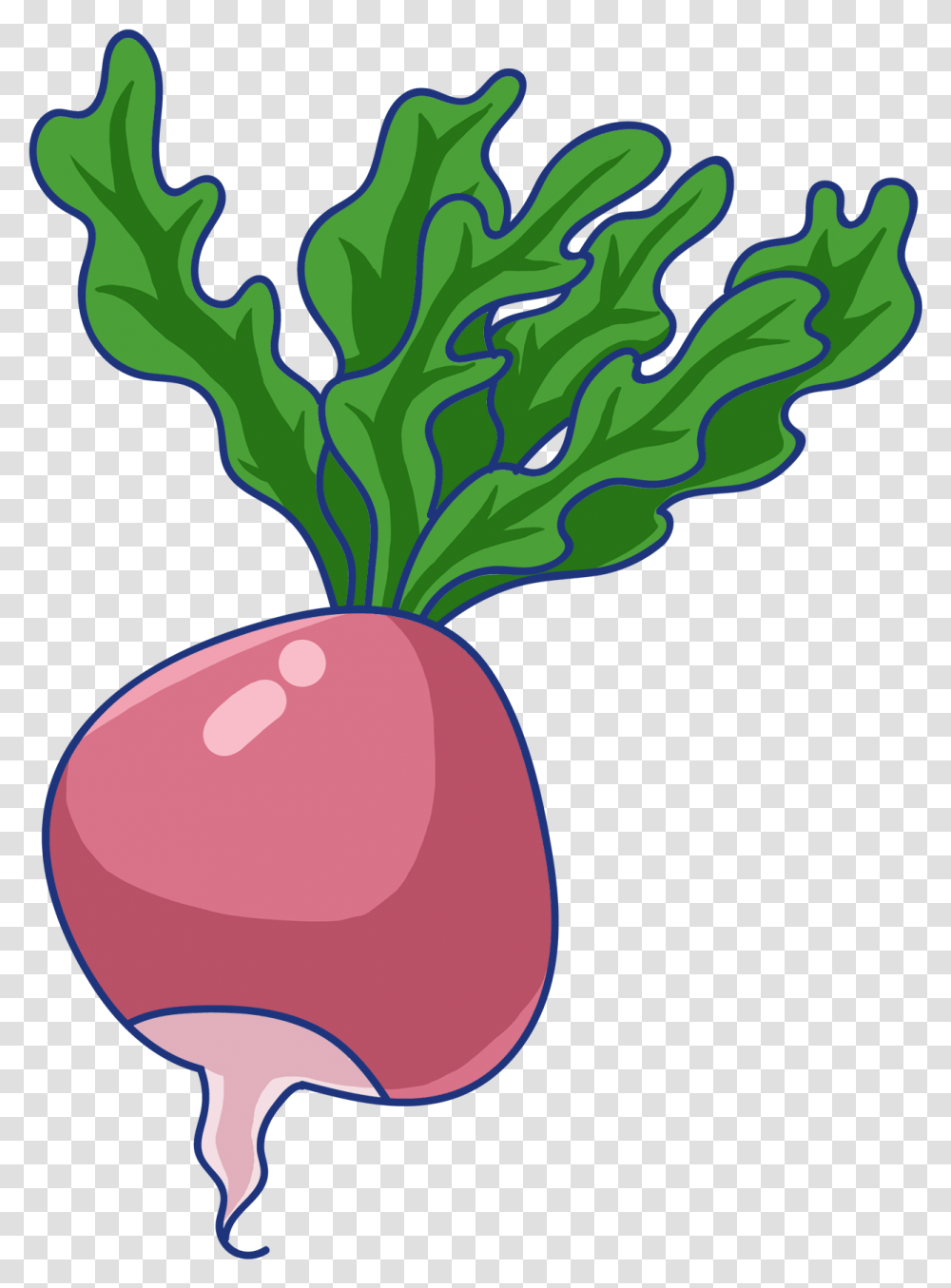 Download Root Red Radish Green And Clip Art, Plant, Vegetable, Food, Turnip Transparent Png