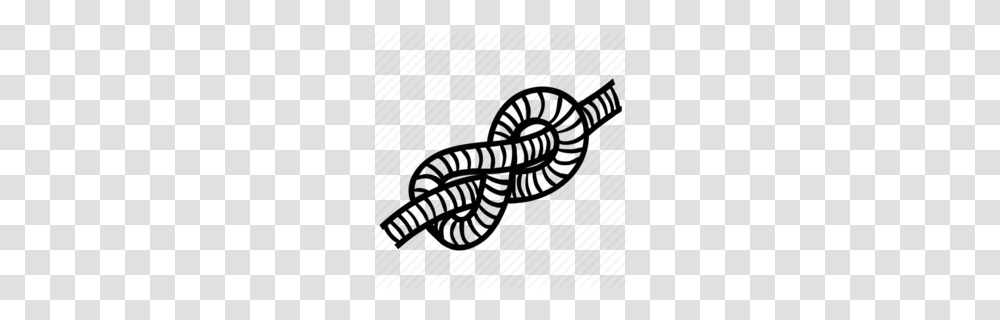Download Rope Icon Clipart Computer Icons Clip Art Rope, Animal, Snake, Reptile, Poster Transparent Png