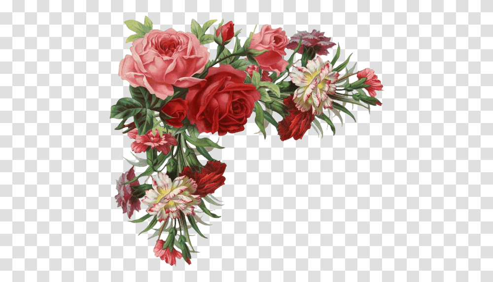 Download Rose Border Flower Clothing Vintage Free Hq Border Vintage Flower, Plant, Blossom, Graphics, Art Transparent Png