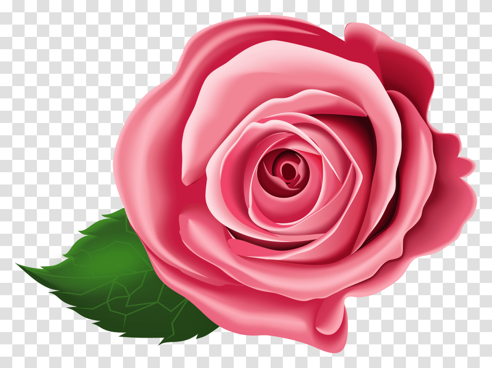 Download Rose Clip Art Free Rose Clipart Transparent Png