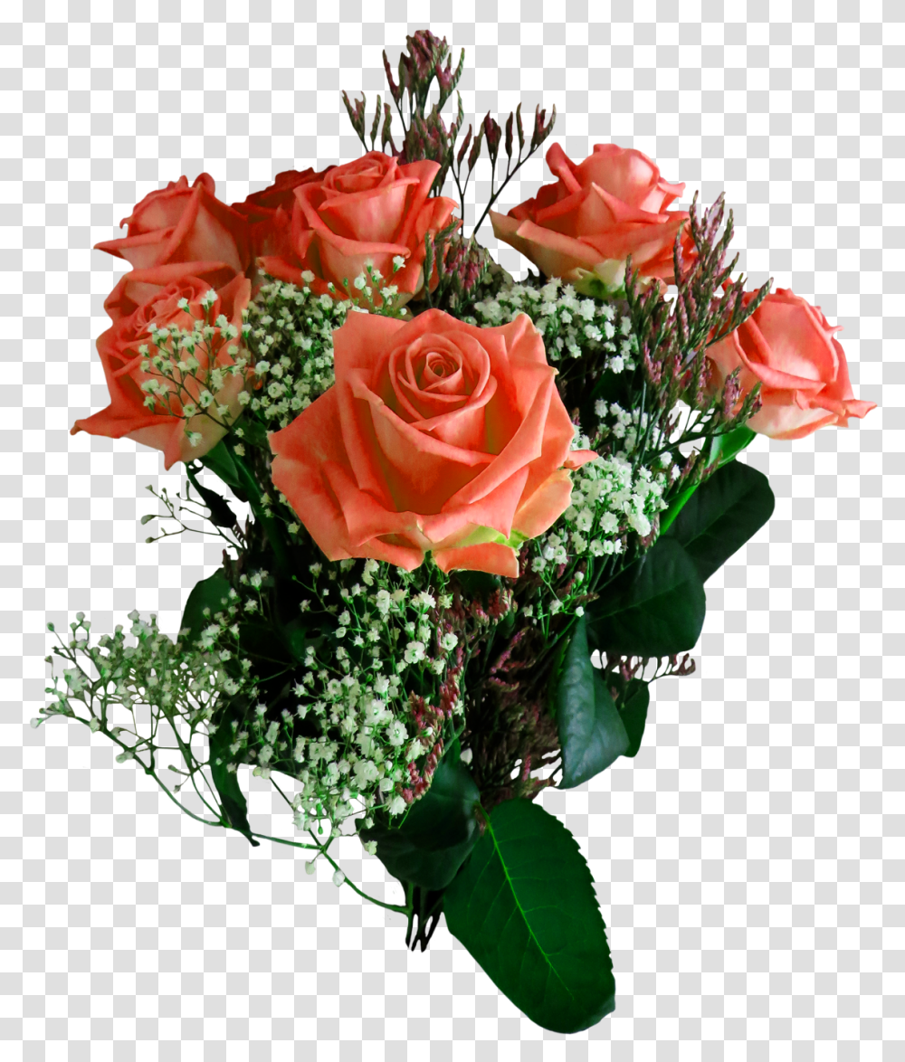 Download Rose Flower Image For Free For Picsart Rose, Plant, Blossom, Flower Bouquet, Flower Arrangement Transparent Png