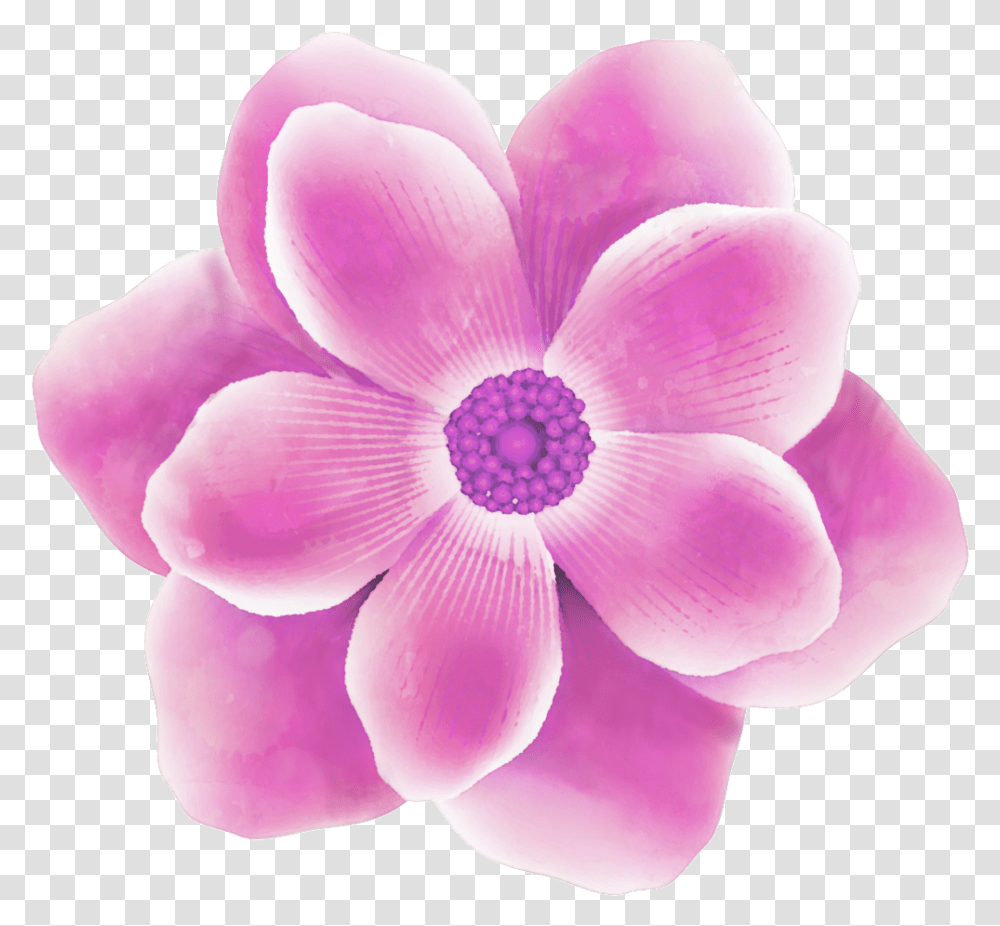 Download Rose Red Watercolor Flower Purple Soft, Petal, Plant, Blossom, Dahlia Transparent Png