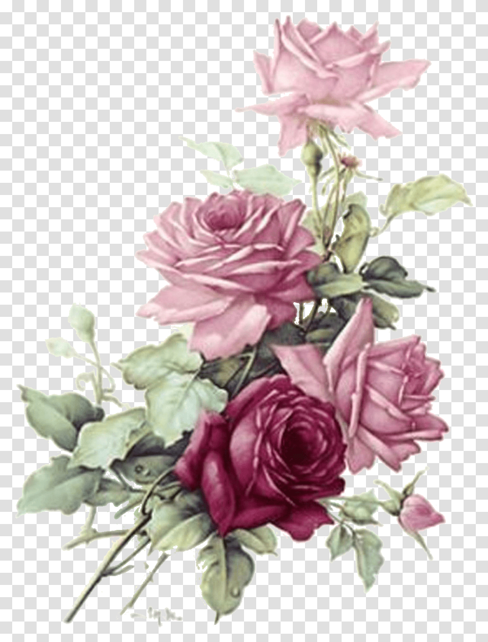 Download Roses Burgundy Flowers Image Vintage Flower Watercolor Clipart, Plant, Graphics, Floral Design, Pattern Transparent Png