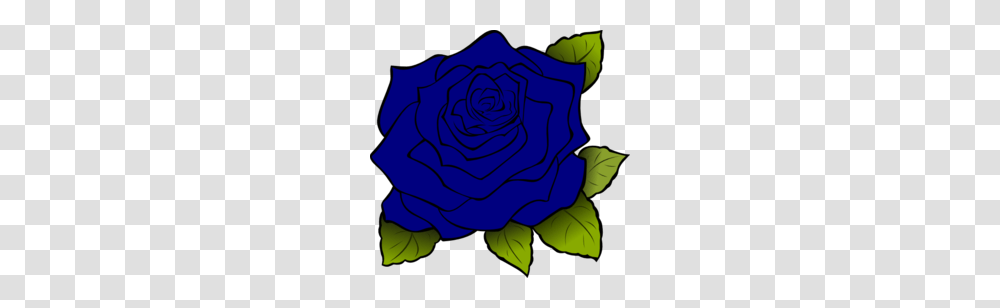 Download Roses Clipart Rose Clip Art Flower Plant Rose Leaf, Blossom, Petal Transparent Png