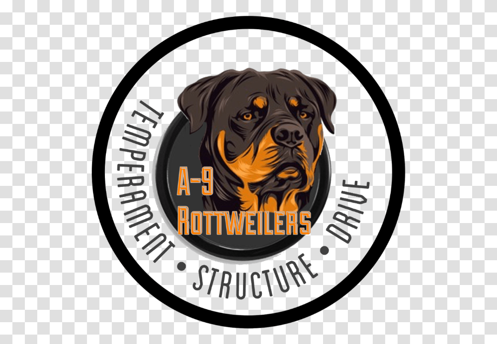 Download Rottweiler Image With No Rottweiler, Canine, Mammal, Animal, Dog Transparent Png
