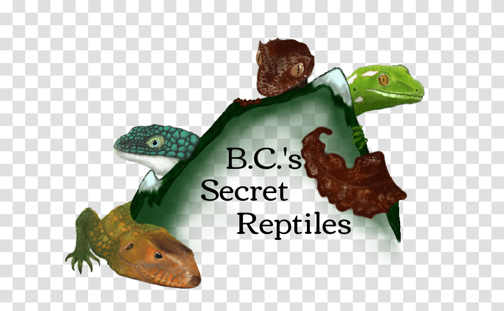 Download S Secret Reptiles Logotwo Dragon Lizard, Gecko, Animal, Fish, Anole Transparent Png