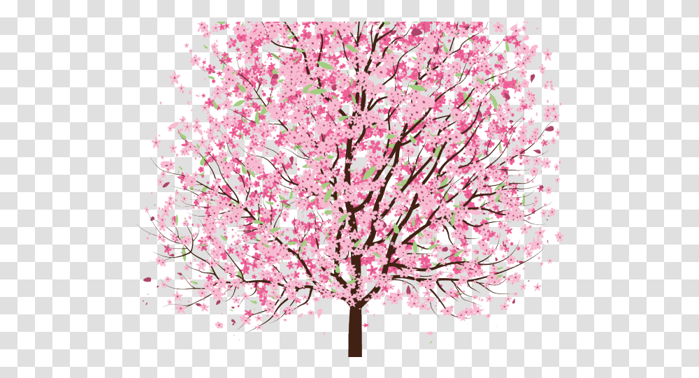 Download Sakura Clipart Tree Cherry Blossom Tre3 Drawing Sakura Cherry Blossom Tree Clipart, Petal, Flower, Plant, Paper Transparent Png