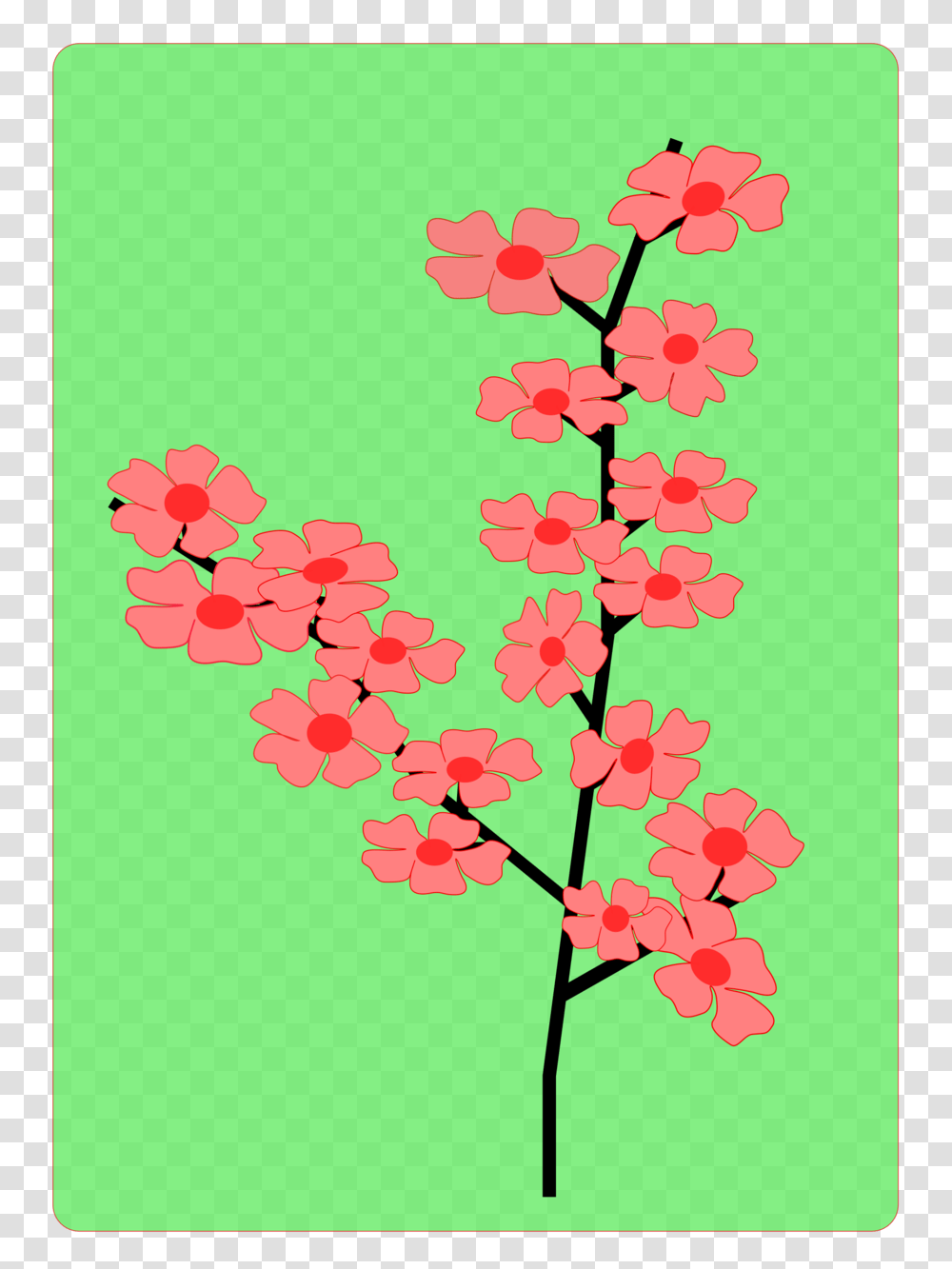 Download Sakura Flower Vector Clipart Cherry Blossom Clip Art, Spring, Plant, Green, Petal Transparent Png