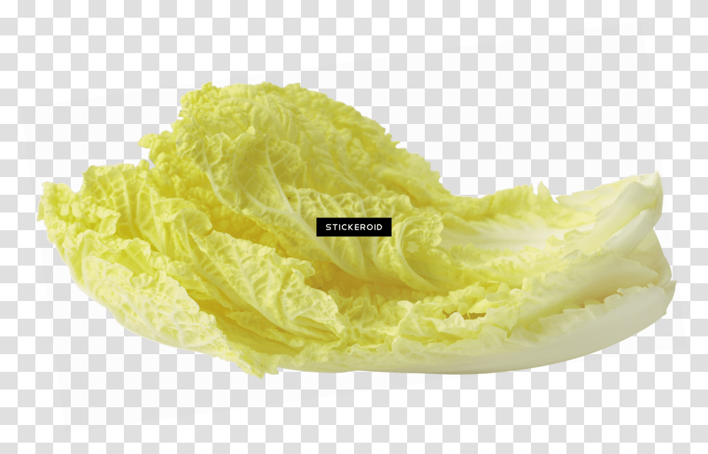 Download Salad Leaf Vegetable Transparent Png