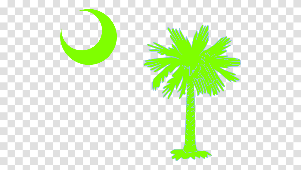 Download Sc Palmetto Tree, Palm Tree, Plant, Arecaceae, Green Transparent Png