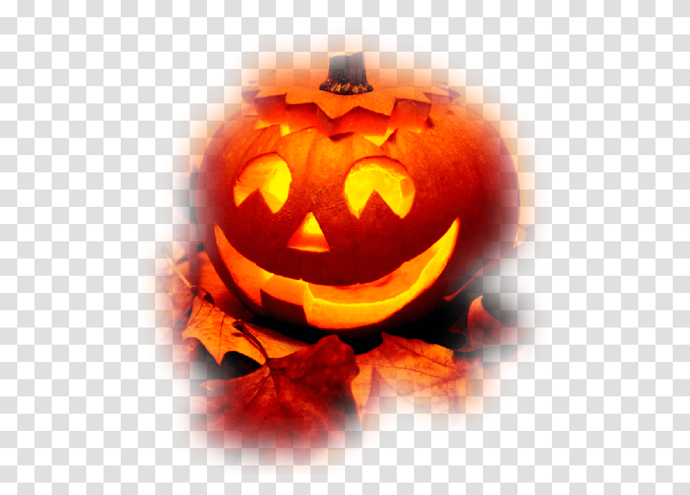 Download Scary Ghost Pictures Photo Halloween Hd Halloween, Plant, Rose, Flower, Blossom Transparent Png