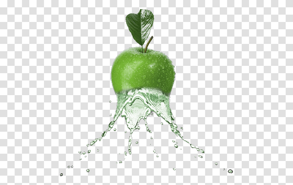 Download Scfruits Apple Greenapple Green Water Splash, Plant, Food, Bird, Animal Transparent Png