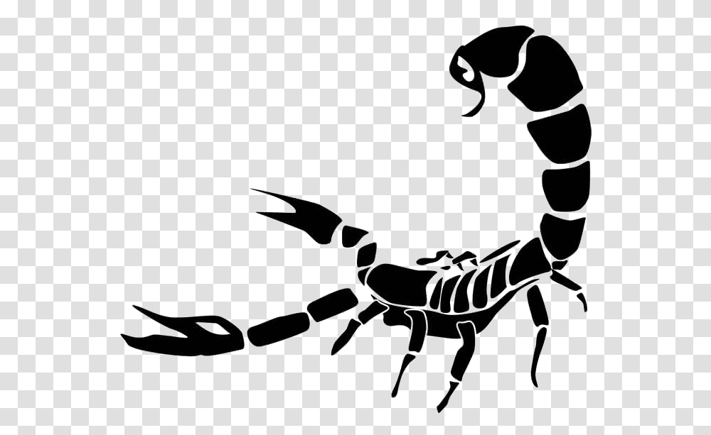 Download Scorpio Tattoo Photo Scorpion Clipart, Animal, Skeleton, Invertebrate, Stencil Transparent Png