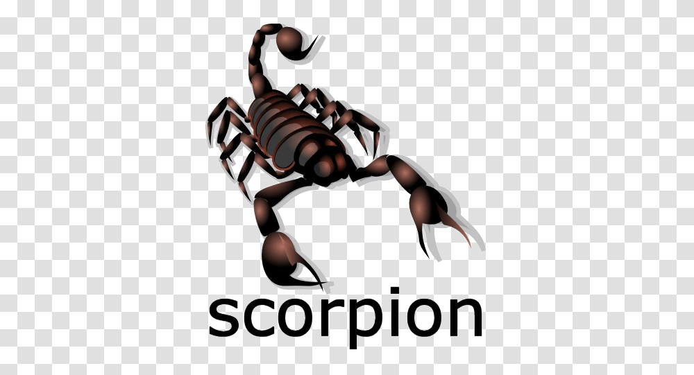Download Scorpion Image Caution Scorpion, Person, Human, Invertebrate, Animal Transparent Png