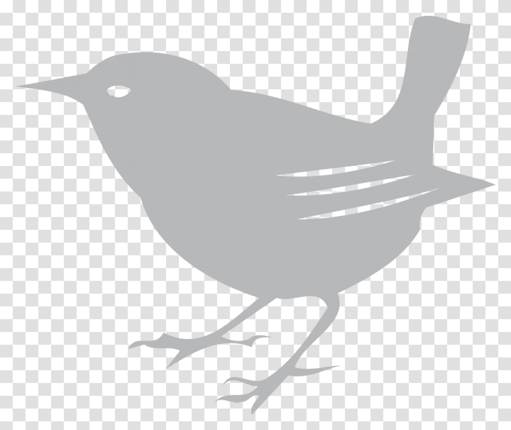 Download Scott Free Bird Scott Free Logo Bird Full Size Scott Free Productions Logo, Animal, Blackbird, Wren, Text Transparent Png