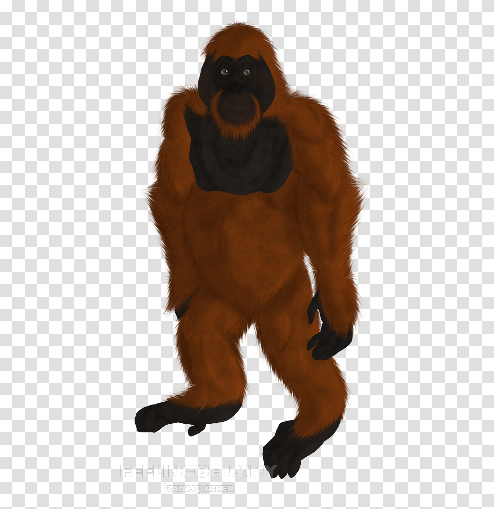 Download Scrapped Orangutan Monkey Full Size Image New World Monkey, Animal, Bird, Horse, Mammal Transparent Png