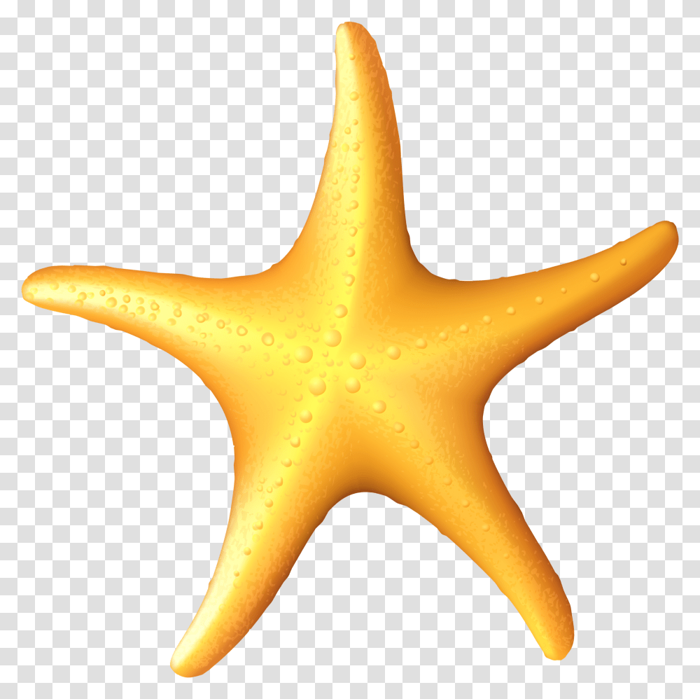 Download Sea Star Clipart Starfish Image With No Sea Star Clipart, Banana, Fruit, Plant, Food Transparent Png