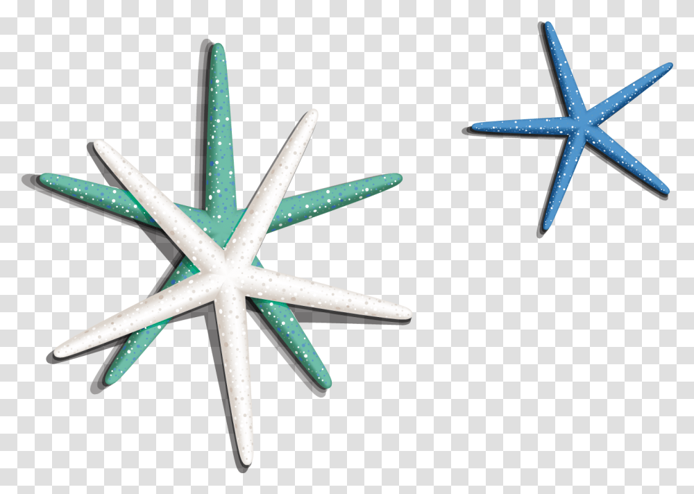 Download Sea Star Image Starfish, Star Symbol, Cross, Sea Life, Animal Transparent Png