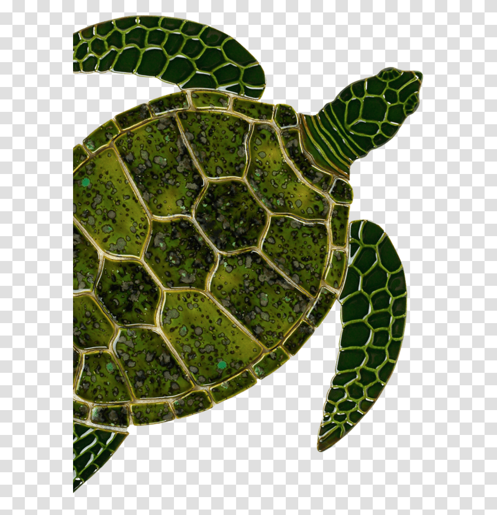 Download Sea Turtle Art Clipart Sea Turtle Tortoise, Snake, Reptile, Animal, Sea Life Transparent Png