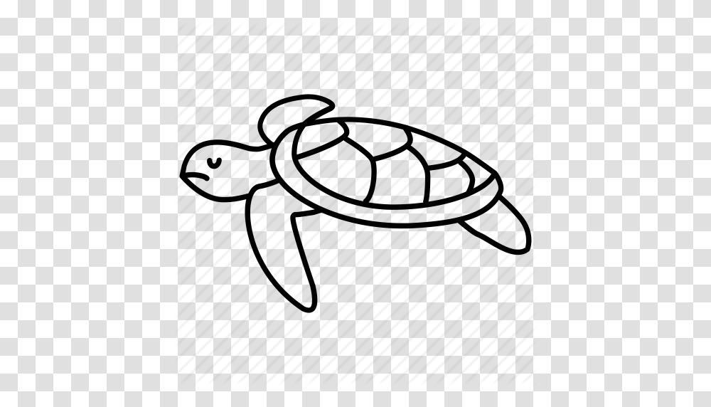 Download Sea Turtle Icon Clipart Modern Sea Turtles Clip Art, Animal, Sea Life, Insect, Invertebrate Transparent Png