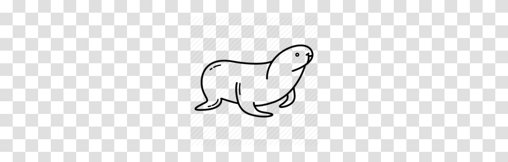 Download Seal Clipart Clip Art, Animal, Mammal, Wildlife, Bow Transparent Png