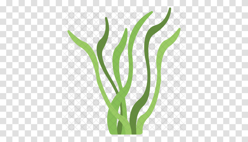 Download Seaweed Clipart Seaweed Clip Art Seaweed Sea, Plant, Produce, Food, Vegetable Transparent Png