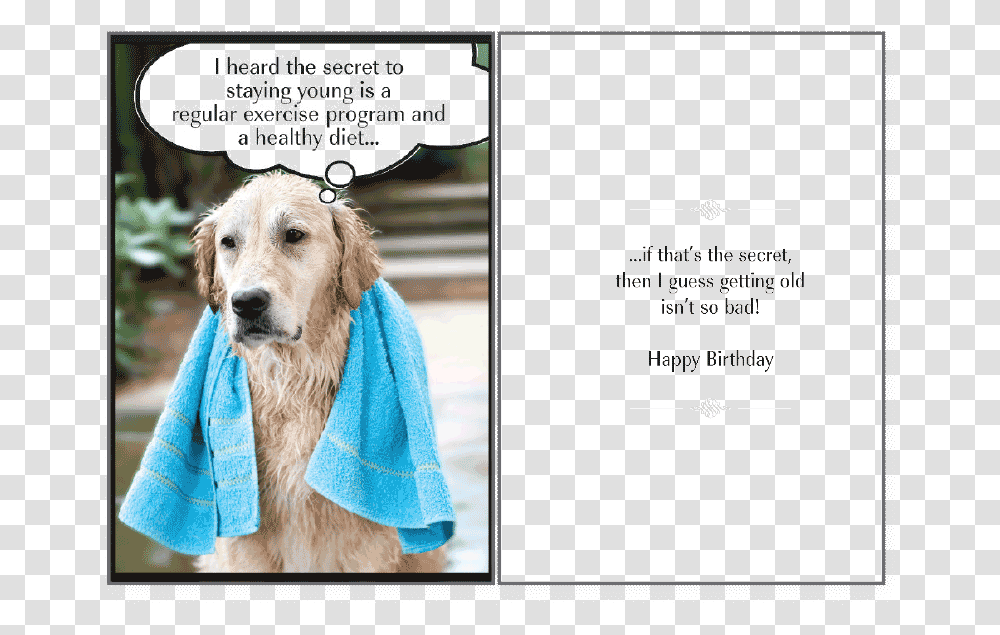 Download Secret To Staying Birthday Card Happy Birthday Happy Birthday Dog Lover, Towel, Bath Towel, Pet, Canine Transparent Png