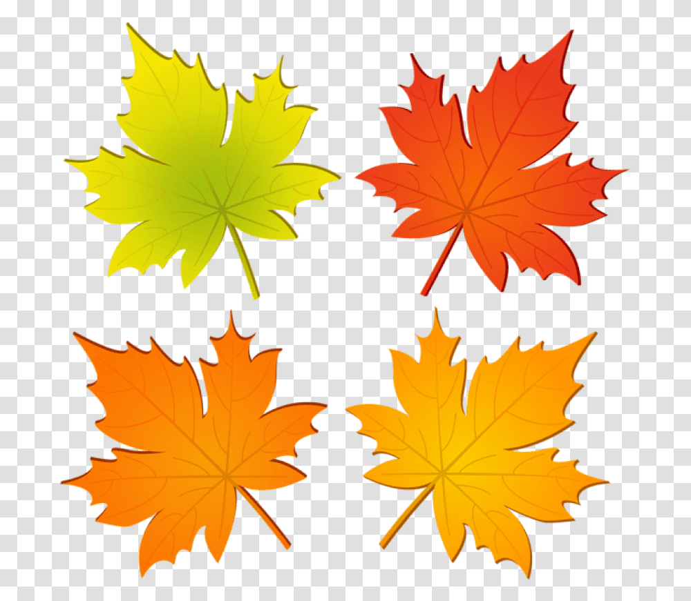 Download Set Of Autumn Leaves Clipart Photo Clip Art Maple Leaf Autumn, Plant, Tree Transparent Png