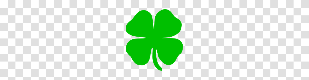 Download Shamrock Free Photo Images And Clipart Freepngimg, Green, Leaf, Plant, Flower Transparent Png