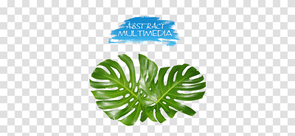 Download Share This Image Monstera Leaves Image With Monstera Leaves, Leaf, Plant, Green, Graphics Transparent Png