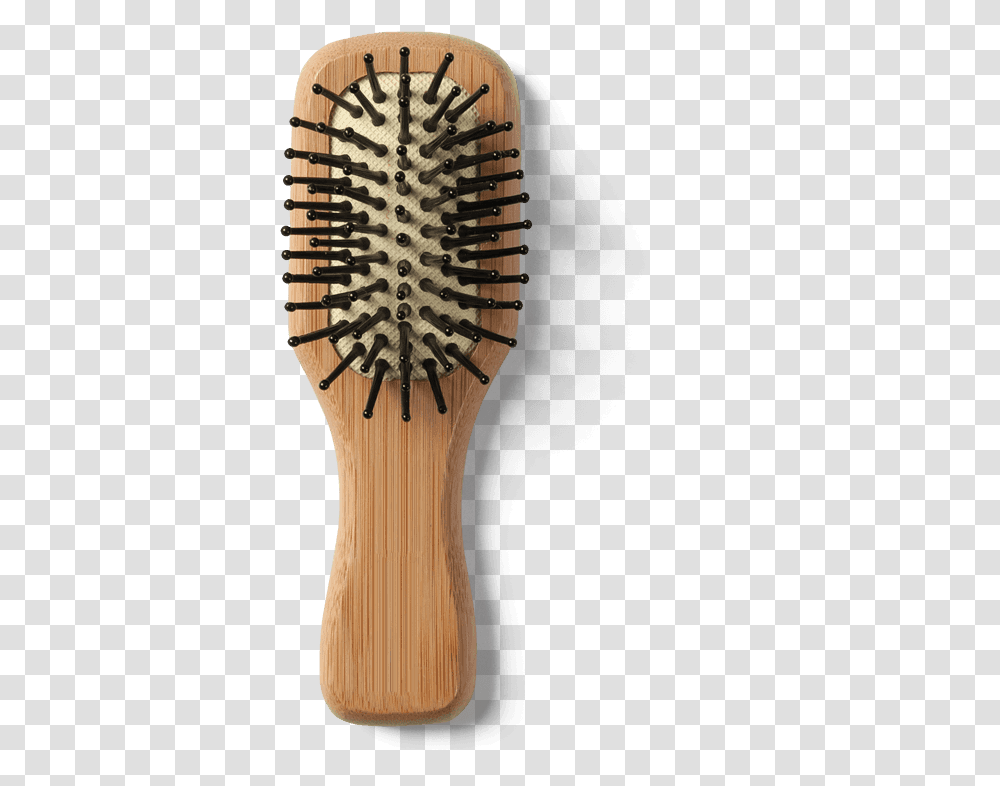 Download Shaver Hair Brush Brush, Tool, Toothbrush, Racket Transparent Png