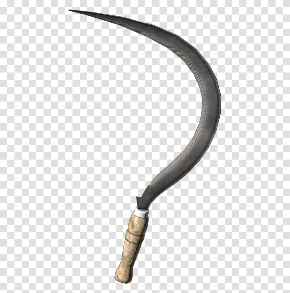 Download Sickle Image With No Sickle, Snake, Reptile, Animal, Hose Transparent Png