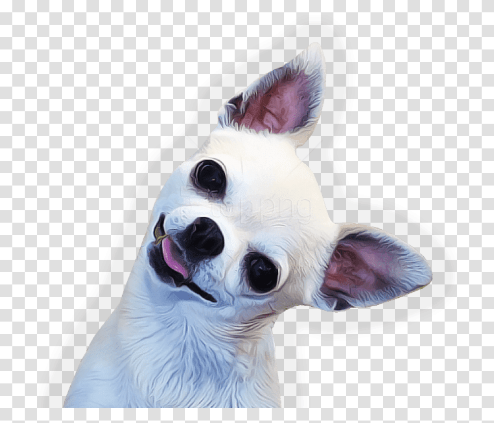 Download Side Images Chihuahua, Dog, Pet, Canine, Animal Transparent Png