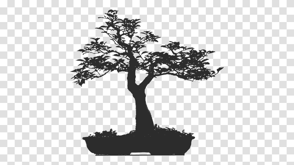 Download Sillouhette Bonsai Tree, Plant, Potted Plant, Vase, Jar Transparent Png