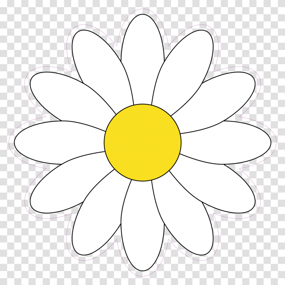 Download Simple White Daisy Flower Sunflower, Plant, Daisies, Blossom, Petal Transparent Png