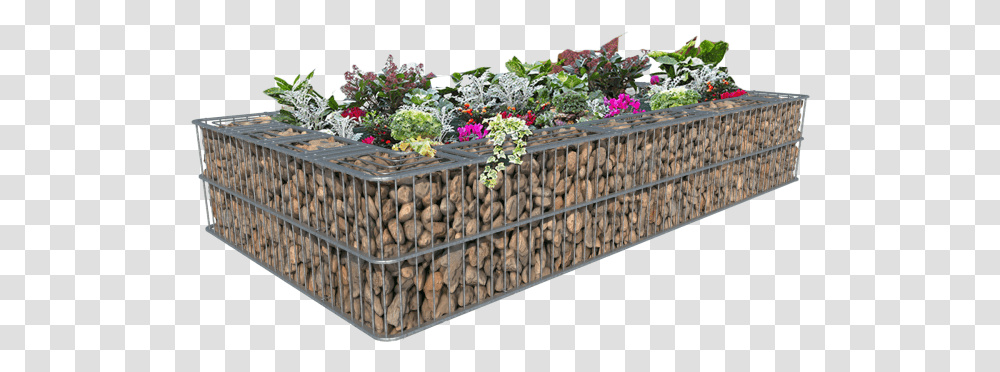 Download Single Flowerbed 102 X Cm Blomsterbed Gabion, Potted Plant, Vase, Jar, Pottery Transparent Png