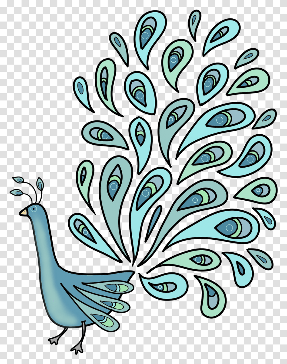 Download Single Peacock Feathers Peafowl Colouring, Graphics, Art, Floral Design, Pattern Transparent Png