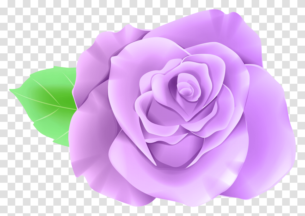 Download Single Rose Image With No Single Flower Rose Transparent Png