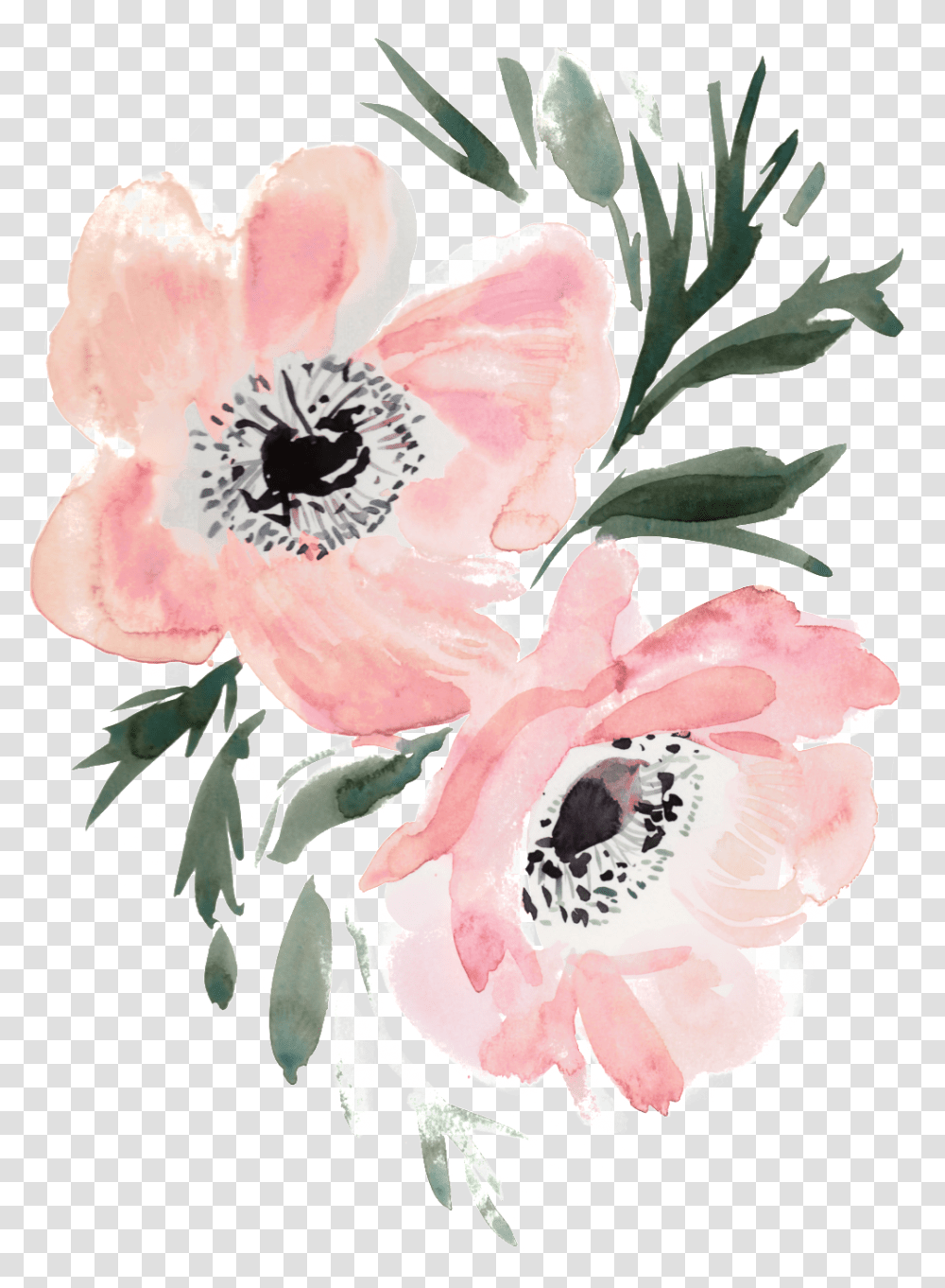 Download Slim Hand Painted Flowers Decorative Painted Flowers Background, Plant, Blossom, Carnation, Petal Transparent Png