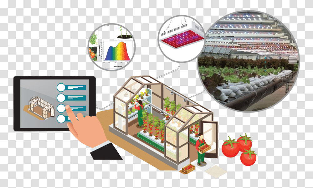 Download Smart Greenhouse Lighting Smart Greenhouse, Toy, Neighborhood, Urban, Building Transparent Png