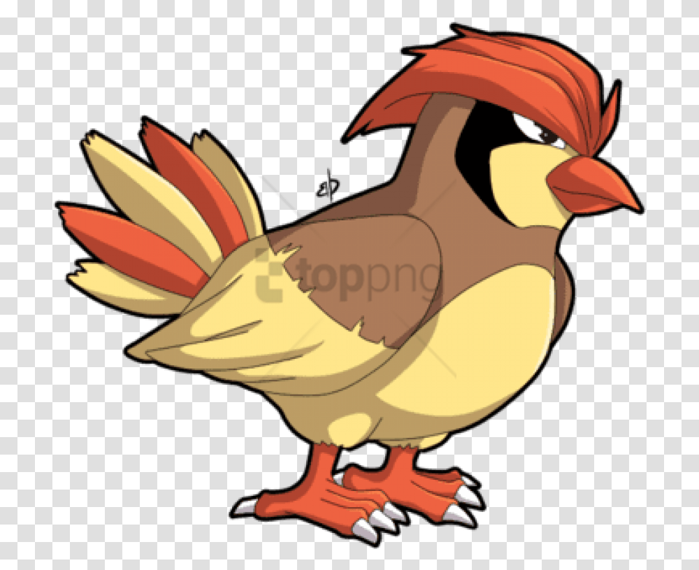 Download Smosh Pokemon Pidgey Cartoon Bird With Hair, Animal, Beak, Finch, Puffin Transparent Png