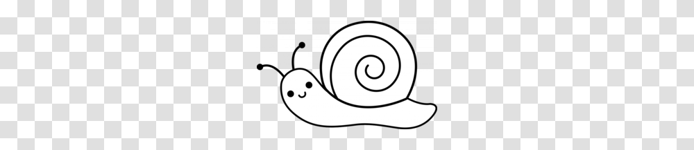 Download Snail Black And White Clipart White Garden Snail Clip Art, Invertebrate, Animal Transparent Png