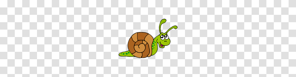 Download Snail Category Clipart And Icons Freepngclipart, Invertebrate, Animal, Soccer Ball, Football Transparent Png