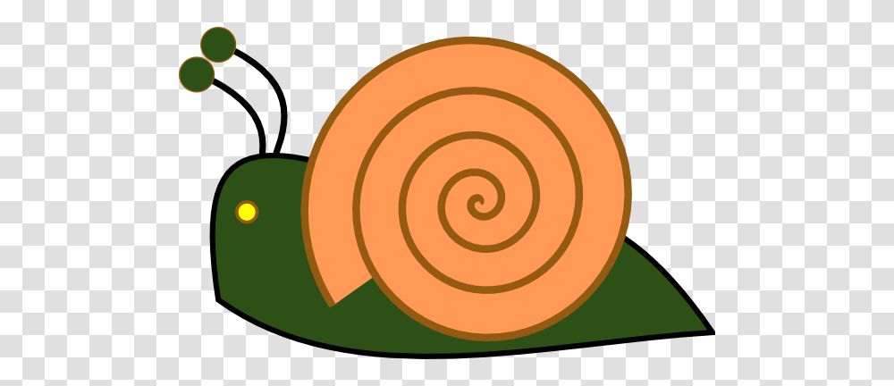 Download Snail Clipart, Spiral, Animal, Rug, Invertebrate Transparent Png