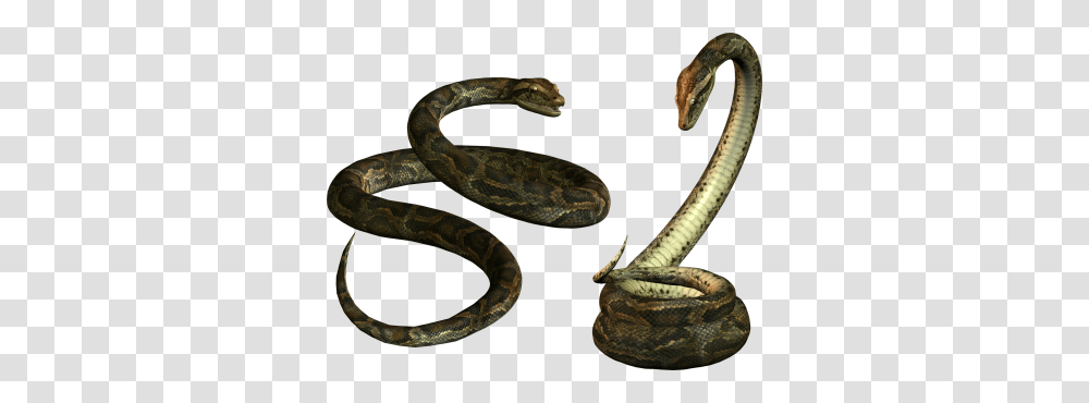 Download Snake Free Image And Clipart, Reptile, Animal, Anaconda, Rock Python Transparent Png