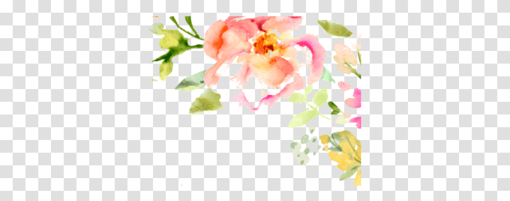 Download Sonja Is An Animated Enthusiastic Energetic Clip Art Watercolor Flowers, Plant, Blossom, Floral Design, Pattern Transparent Png