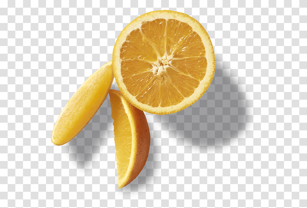 Download Source Cboldcountrystore Com Report Sweet Lemon, Citrus Fruit, Plant, Food, Orange Transparent Png