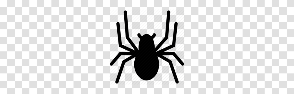 Download Spider Clipart Spider Clip Art Font Graphics, Animal, Invertebrate, Insect, Arachnid Transparent Png