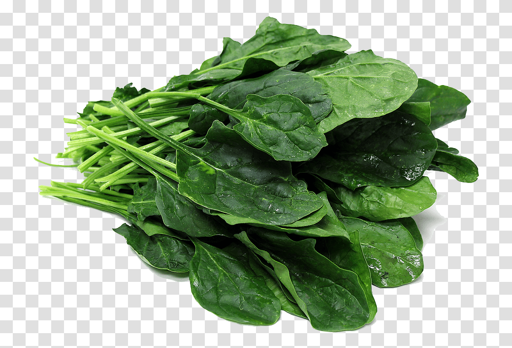Download Spinach File Spinach, Vegetable, Plant, Food Transparent Png