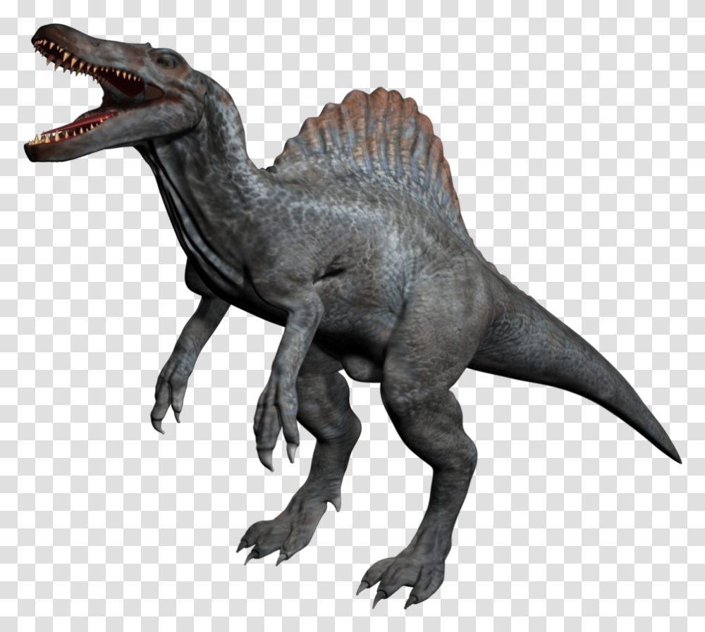 Download Spinosaurus Animal Allosaurus Kentrosaurus Stegosaurus, Dinosaur, Reptile, T-Rex Transparent Png